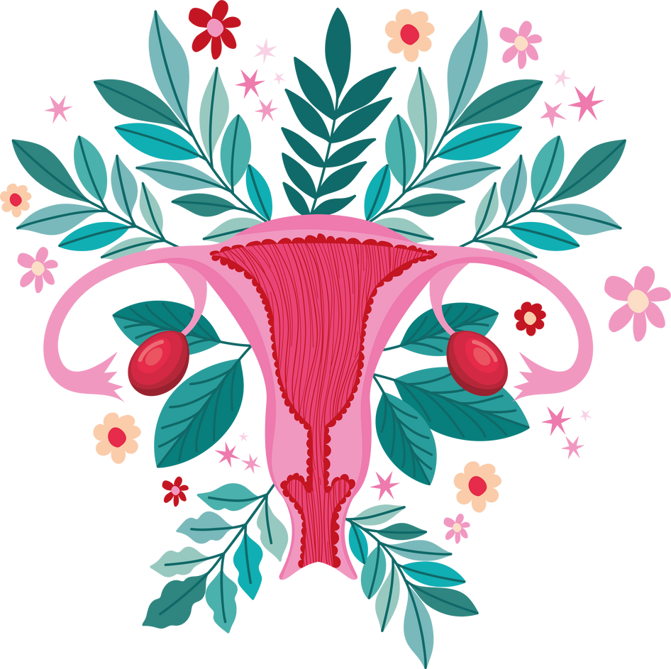 pink uterus illustration